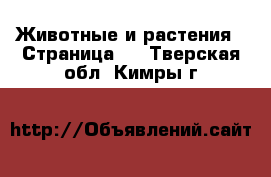  Животные и растения - Страница 5 . Тверская обл.,Кимры г.